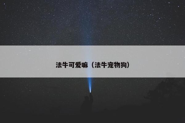 法牛可爱嘛（法牛宠物狗）