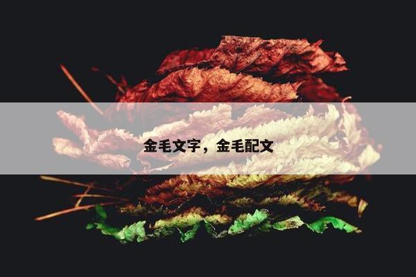 金毛文字，金毛配文