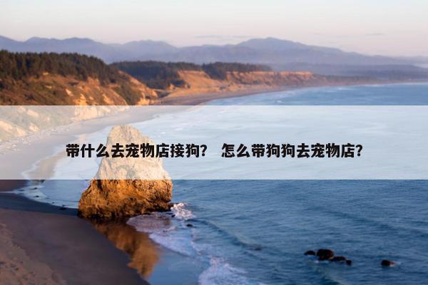 带什么去宠物店接狗？ 怎么带狗狗去宠物店？