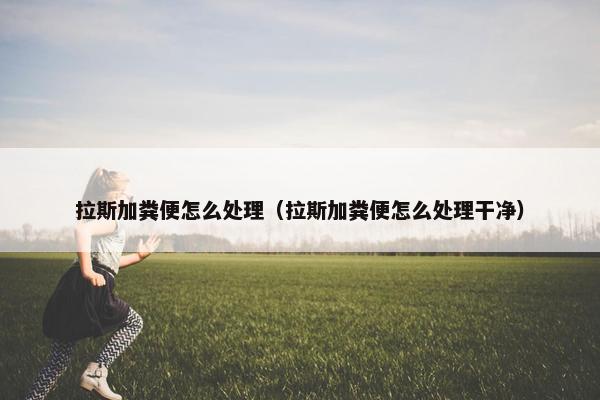 拉斯加粪便怎么处理（拉斯加粪便怎么处理干净）