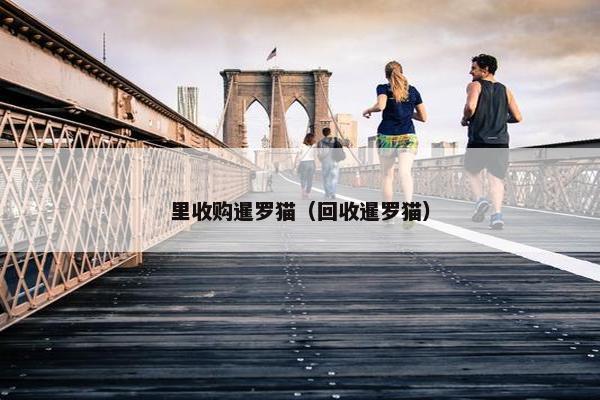 里收购暹罗猫（回收暹罗猫）