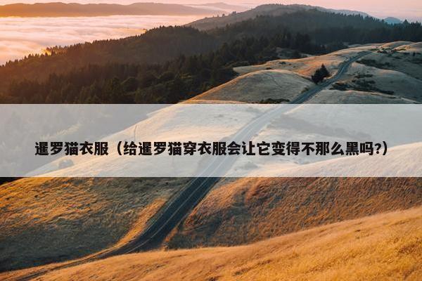 暹罗猫衣服（给暹罗猫穿衣服会让它变得不那么黑吗?）