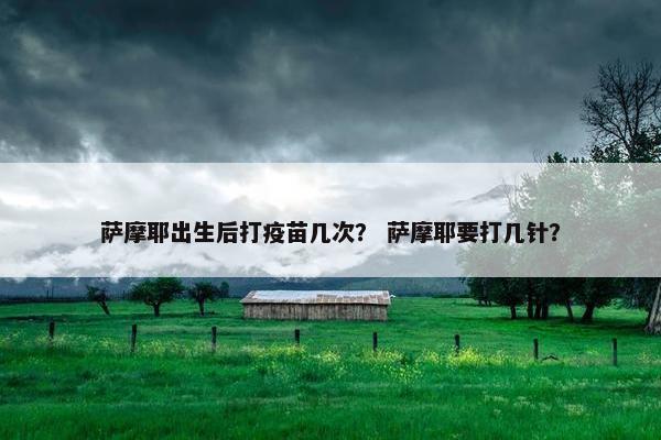 萨摩耶出生后打疫苗几次？ 萨摩耶要打几针？