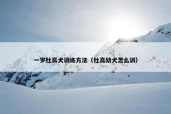 一岁杜高犬训练方法（杜高幼犬怎么训）