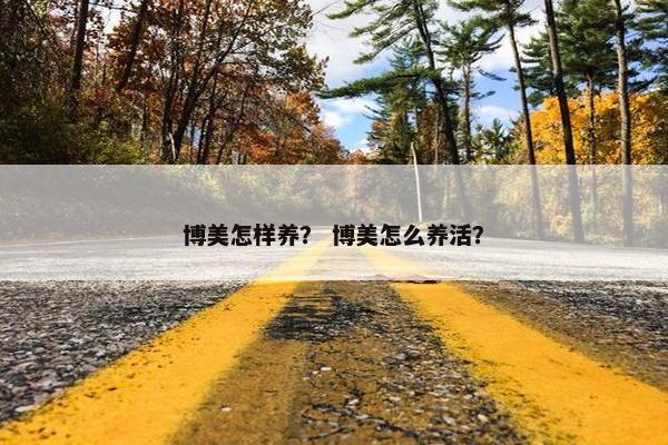 博美怎样养？ 博美怎么养活？