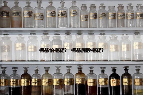 柯基怕拖鞋？ 柯基屁股拖鞋？