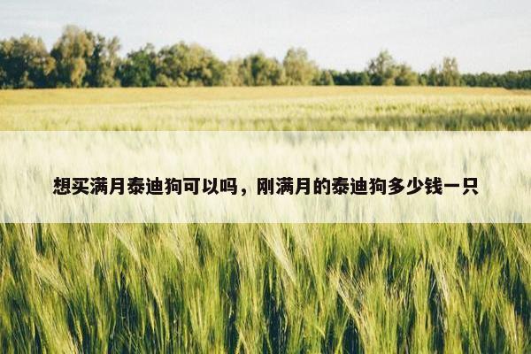 想买满月泰迪狗可以吗，刚满月的泰迪狗多少钱一只