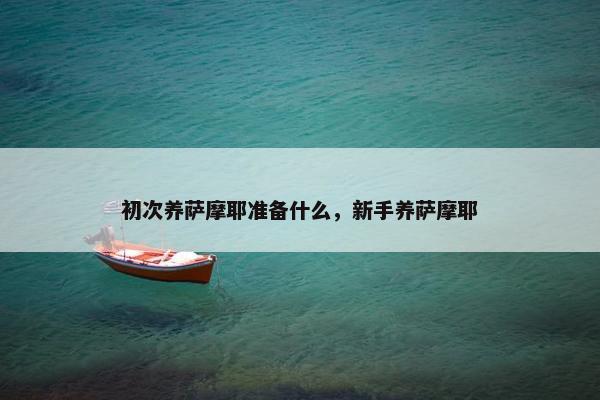 初次养萨摩耶准备什么，新手养萨摩耶