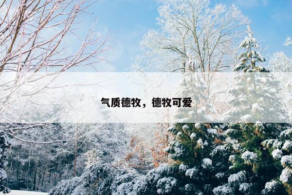 气质德牧，德牧可爱