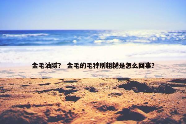 金毛油腻？ 金毛的毛特别粗糙是怎么回事？