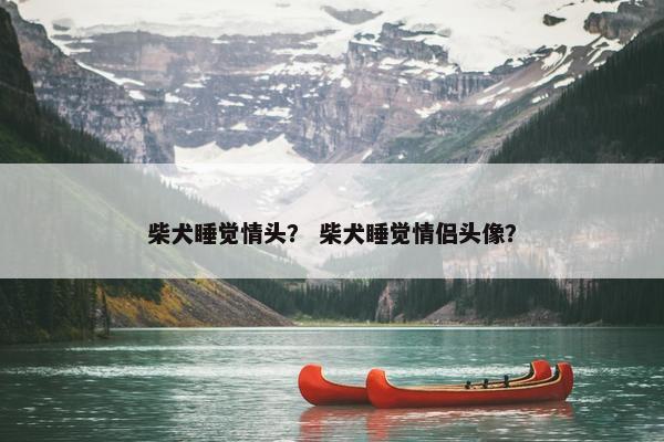 柴犬睡觉情头？ 柴犬睡觉情侣头像？