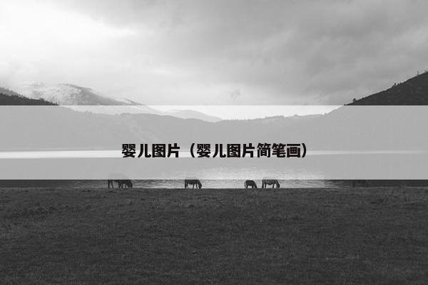 婴儿图片（婴儿图片简笔画）