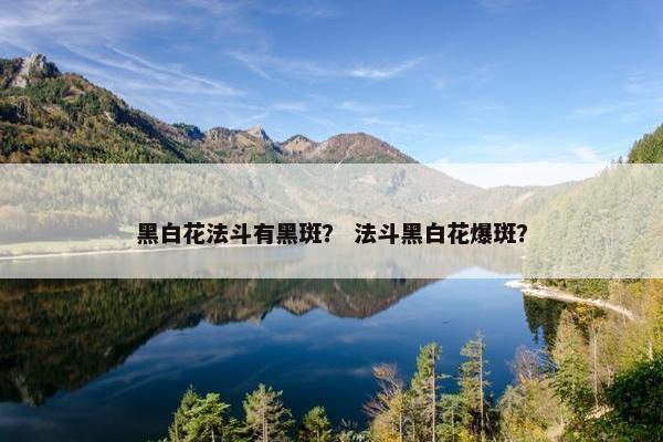 黑白花法斗有黑斑？ 法斗黑白花爆斑？