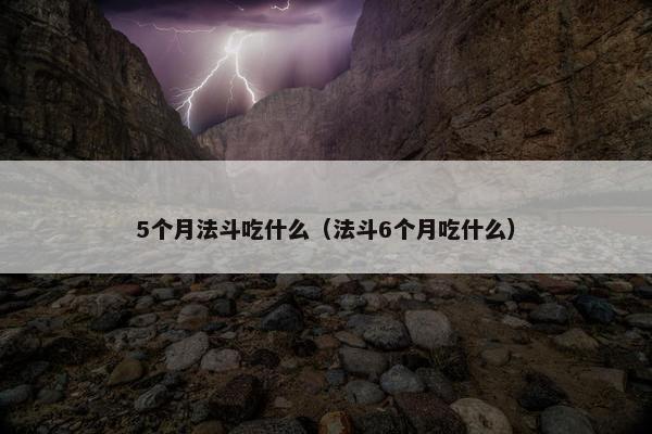 5个月法斗吃什么（法斗6个月吃什么）