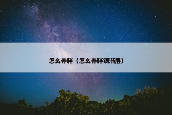 怎么养胖（怎么养胖银渐层）