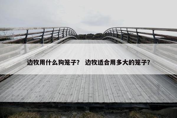 边牧用什么狗笼子？ 边牧适合用多大的笼子？