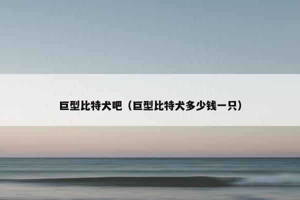 巨型比特犬吧（巨型比特犬多少钱一只）