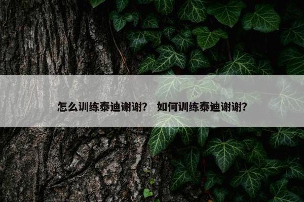怎么训练泰迪谢谢？ 如何训练泰迪谢谢？