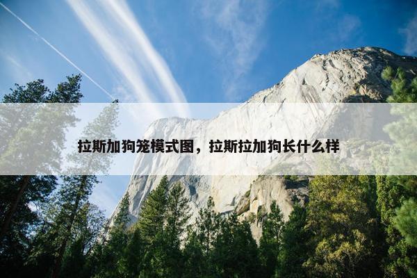 拉斯加狗笼模式图，拉斯拉加狗长什么样