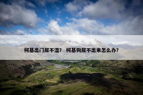 柯基出门尿不湿？ 柯基狗尿不出来怎么办？