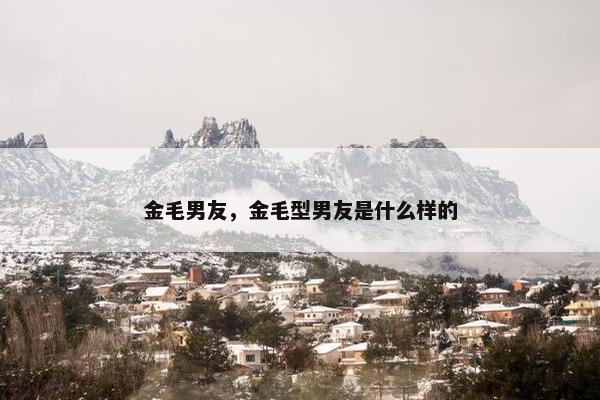 金毛男友，金毛型男友是什么样的