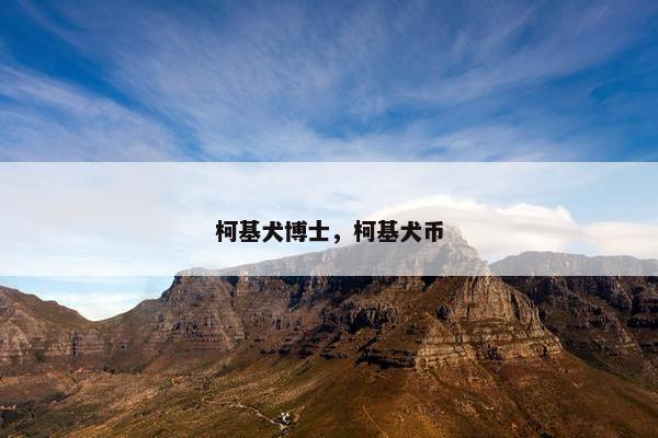 柯基犬博士，柯基犬币