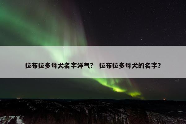 拉布拉多母犬名字洋气？ 拉布拉多母犬的名字？