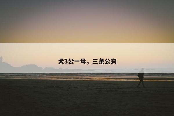 犬3公一母，三条公狗