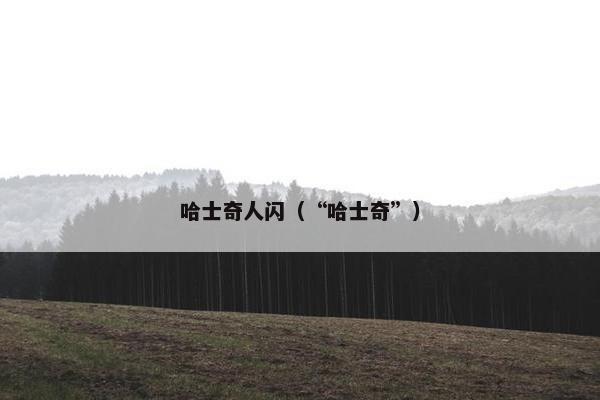 哈士奇人闪（“哈士奇”）