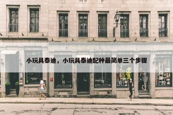 小玩具泰迪，小玩具泰迪配种最简单三个步骤