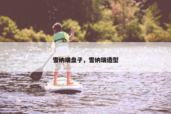 雪纳瑞盘子，雪纳瑞造型