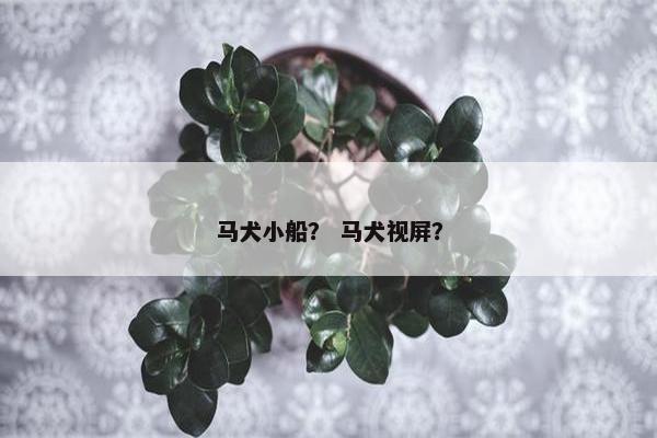 马犬小船？ 马犬视屏？