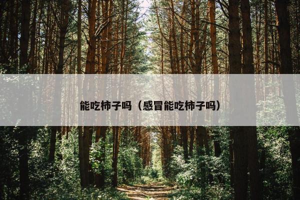 能吃柿子吗（感冒能吃柿子吗）