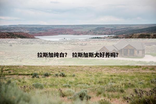 拉斯加纯白？ 拉斯加斯犬好养吗？
