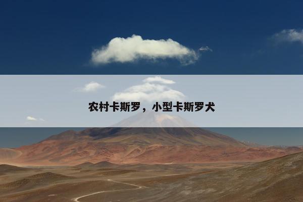 农村卡斯罗，小型卡斯罗犬