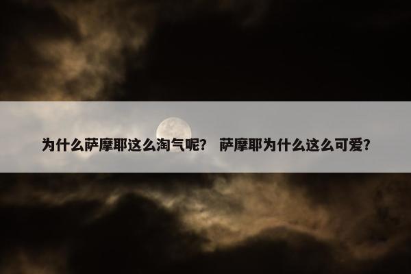 为什么萨摩耶这么淘气呢？ 萨摩耶为什么这么可爱？