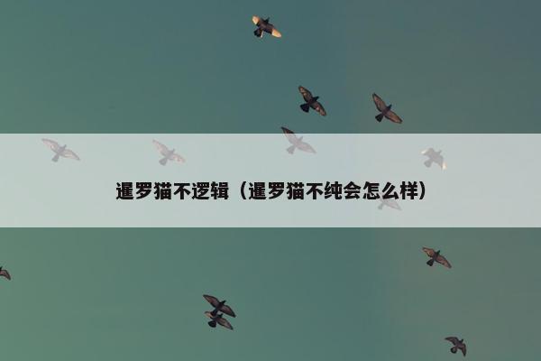 暹罗猫不逻辑（暹罗猫不纯会怎么样）