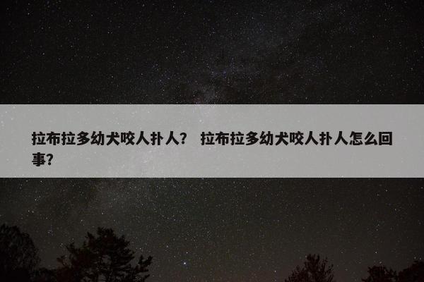 拉布拉多幼犬咬人扑人？ 拉布拉多幼犬咬人扑人怎么回事？