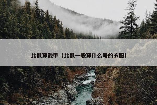 比熊穿戴甲（比熊一般穿什么号的衣服）