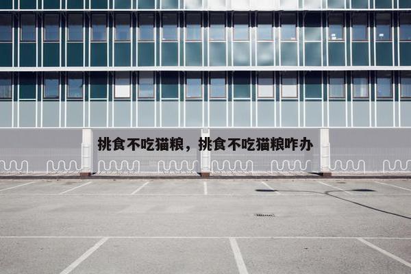 挑食不吃猫粮，挑食不吃猫粮咋办