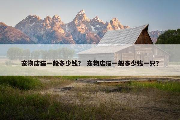 宠物店猫一般多少钱？ 宠物店猫一般多少钱一只？