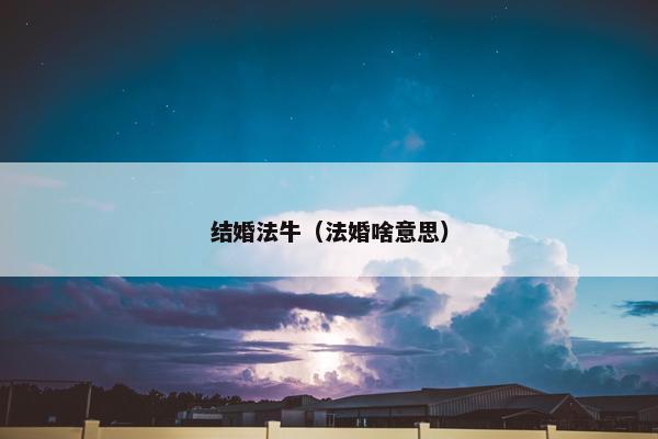 结婚法牛（法婚啥意思）
