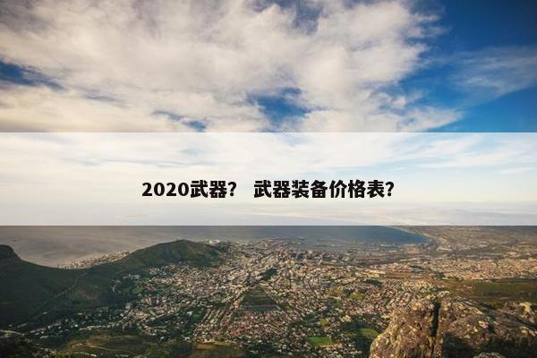 2020武器？ 武器装备价格表？