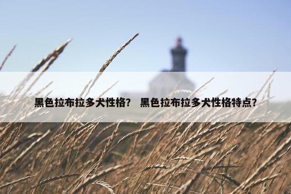 黑色拉布拉多犬性格？ 黑色拉布拉多犬性格特点？