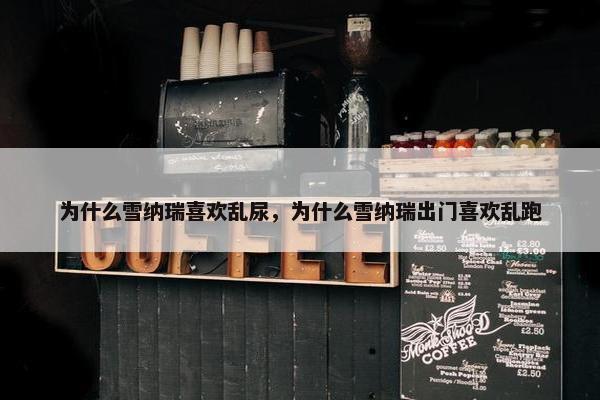 为什么雪纳瑞喜欢乱尿，为什么雪纳瑞出门喜欢乱跑