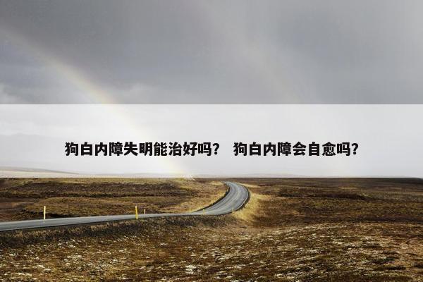 狗白内障失明能治好吗？ 狗白内障会自愈吗？