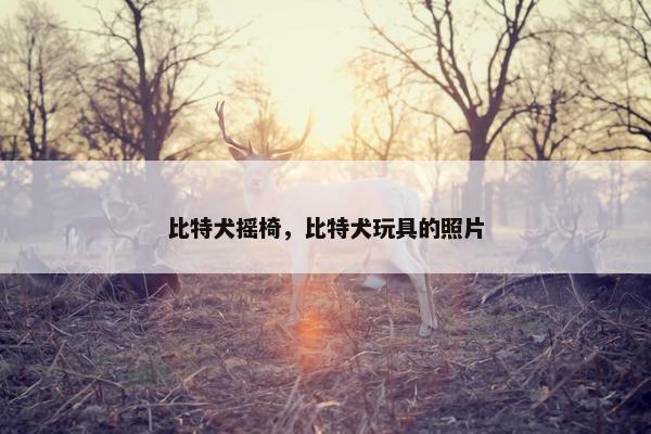 比特犬摇椅，比特犬玩具的照片