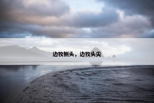 边牧侧头，边牧头尖