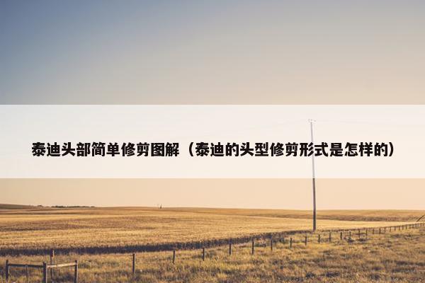 泰迪头部简单修剪图解（泰迪的头型修剪形式是怎样的）