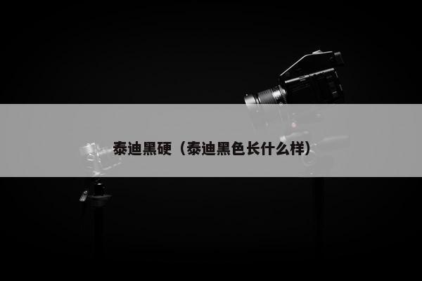 泰迪黑硬（泰迪黑色长什么样）